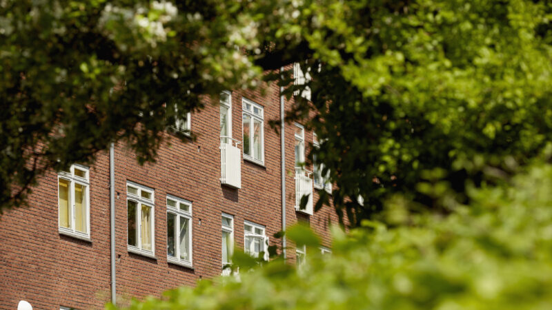 Rød murstenslejlighedsbygning med rækker af hvide vinduesrammer og små hvide altaner, set gennem sløret grønt løv, der danner forgrund og indramning.