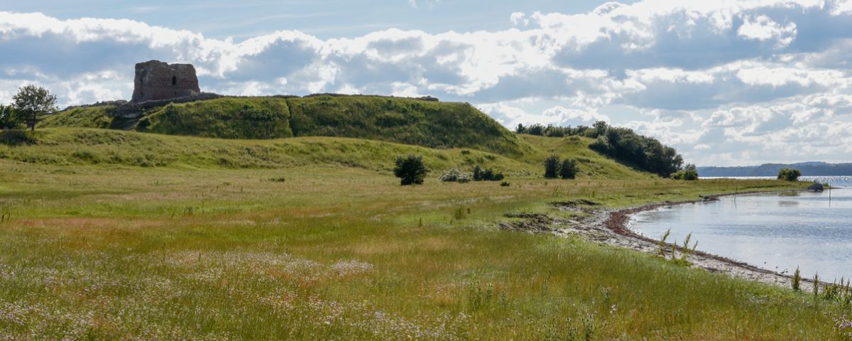 Et grønt landskab med en bakke, hvor en gammel ruin står øverst. I forgrunden ses en eng med vilde blomster, og til højre er en kystlinje med roligt vand under en himmel med skyer.